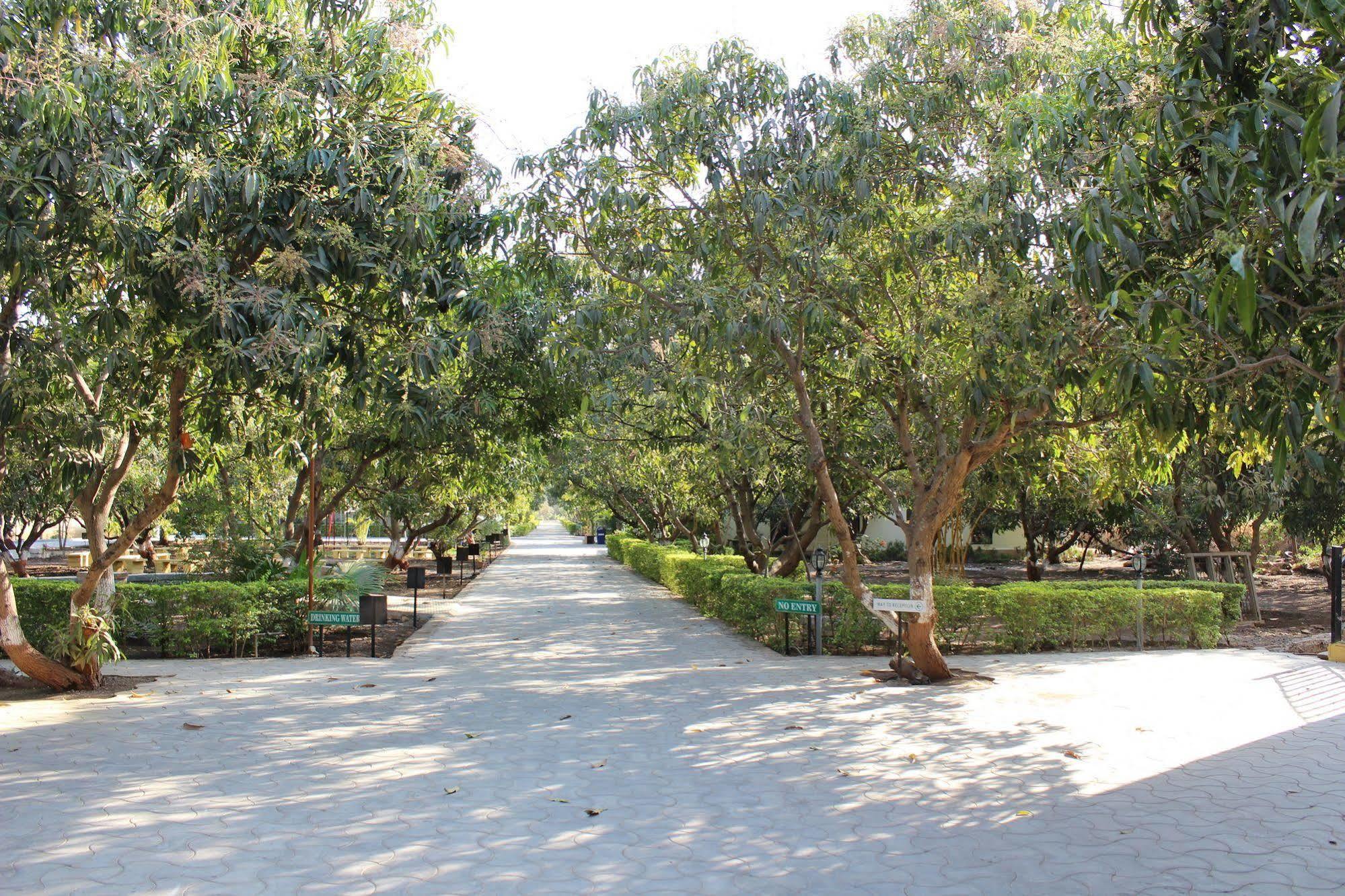 Gir Jungle Lodge Sasan Gir Exterior foto